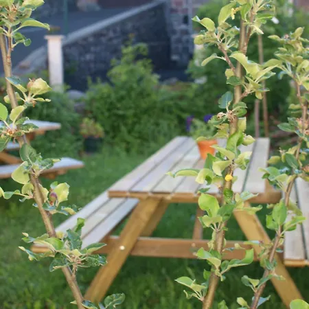 Мини-отель L'epicerie De Dienne (Cantal)