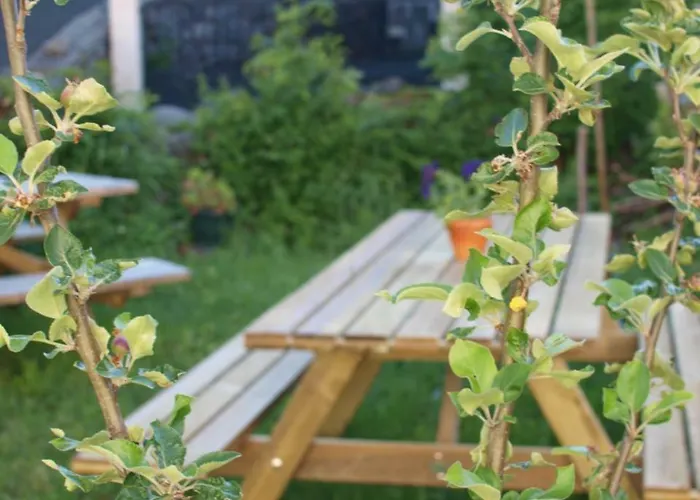 Mini-hôtel L'epicerie De Dienne (Cantal)